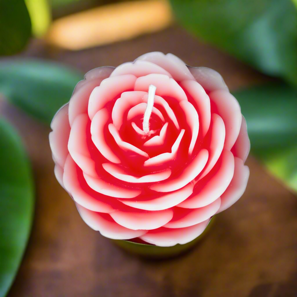 Rose candle with rose fragrance